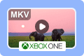 Ways to Play MKV Video