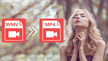 Convert WMV to MP4 Online