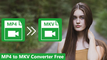 Convertitore gratuito da MP4 a MKV