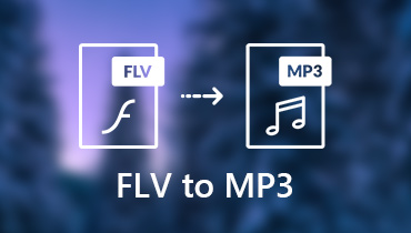 FLV को MP3 में बदलें