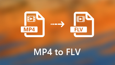 Konvertálja az MP4-et FLV-vé