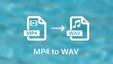 Convierte MP4 a WAV