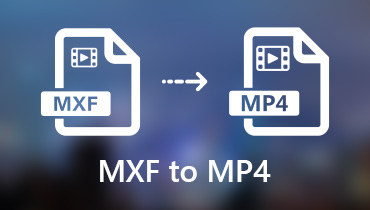 MXF'yi MP4'e dönüştürün