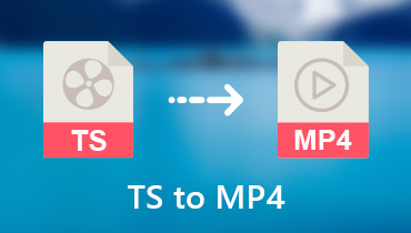 Konvertálja a TS-t MP4-be