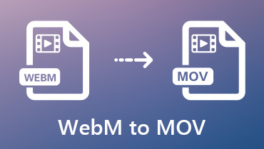 WebM'yi MOV'a dönüştürme