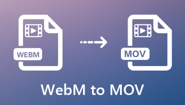 Convert WebM to MOV