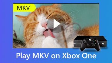 Xbox One에서 MKV 비디오 파일 재생