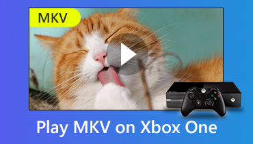 Mainkan Fail Video MKV di Xbox One