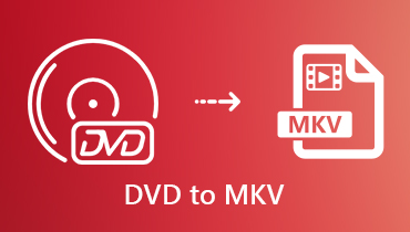 DVD'den MKV'ye