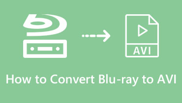 Converteer Blu-ray naar AVI