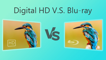HD الرقمية مقابل بلو راي