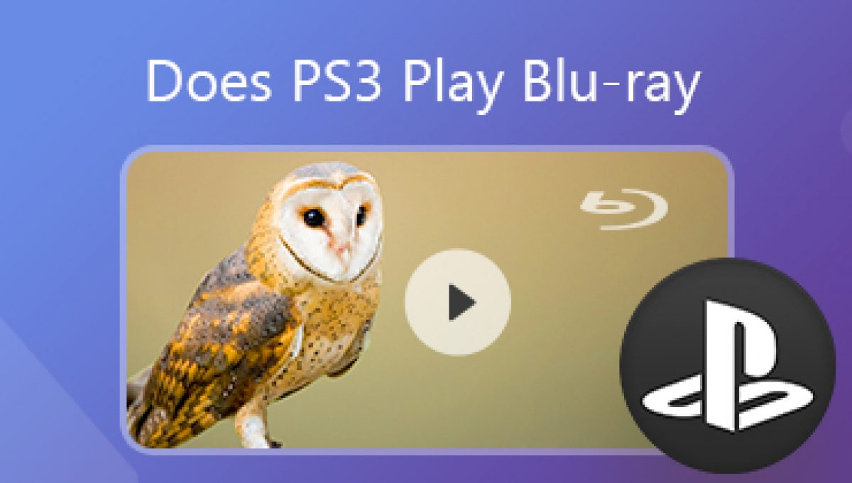 eb toelage troosten How to Play a Blu-ray Disc in Sony Play Station 3 without Quality Loss