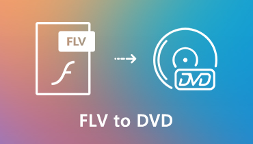 FLV naar dvd
