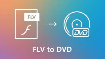 FLV เป็น DVD