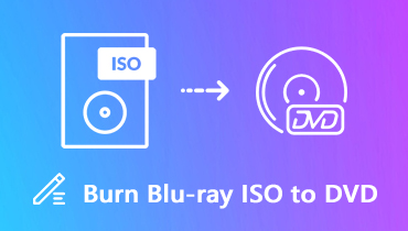 نسخ Blu-ray iSO إلى DVD