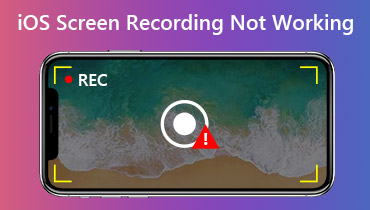 iOS Screen Recording Not Working