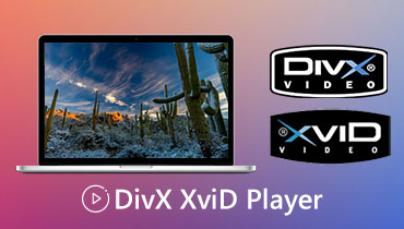 เครื่องเล่น DivX