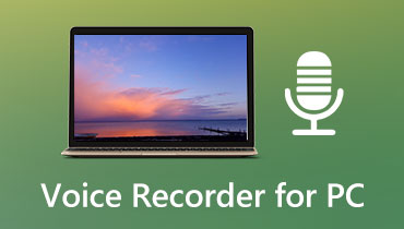 Voice Recorder voor pc