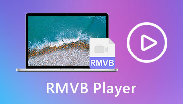 RMVB 플레이어