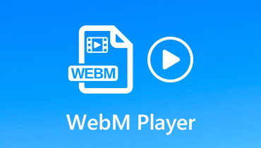 WebM Player