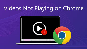 لا يتم تشغيل مقاطع الفيديو على Chrome