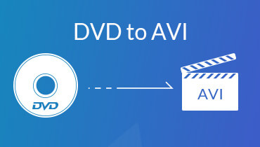 DVD AVI: lle