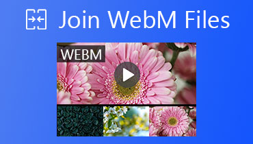 Εγγραφείτε στο WebM