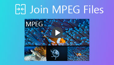 MPEG'i birleştir
