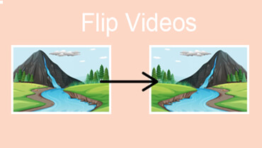 Flip Videos
