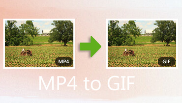 Mp4 in GIF S