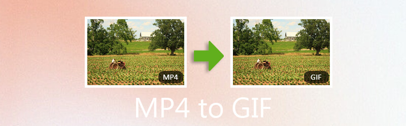 Mp4 GIF -re