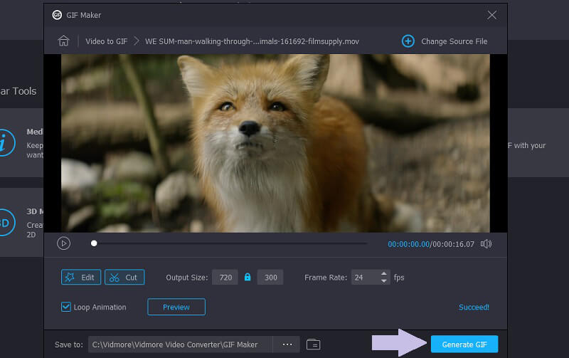Vidmore VC Videoclip opslaan in GIF