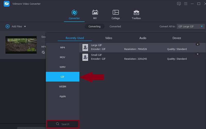 Vidmore VC Select Output Format