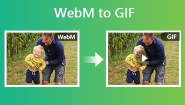 WebM în GIF