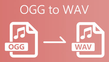 OGG till WAV