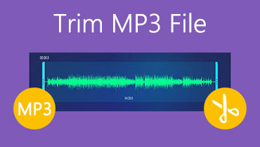 Trimma MP3-fil