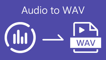Audio către WAV