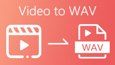 Video til WAV