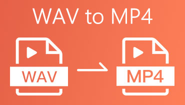 WAV til MP4