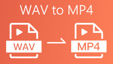 WAV para MP4