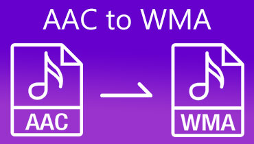 AAC'den WMA S'ye dönüştürücü