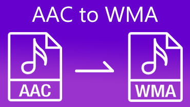 AAC ל-WMA S