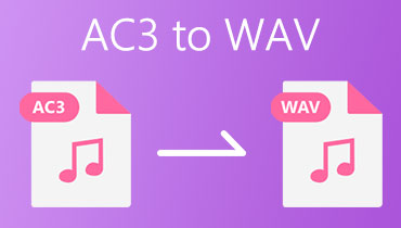 AC3 til WAV