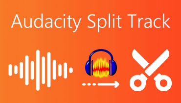 Audacity Split Track S