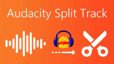 Audacity Bölünmüş Parça S