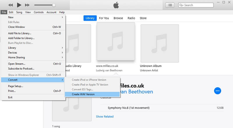 Interfaz de conversión de iTunes