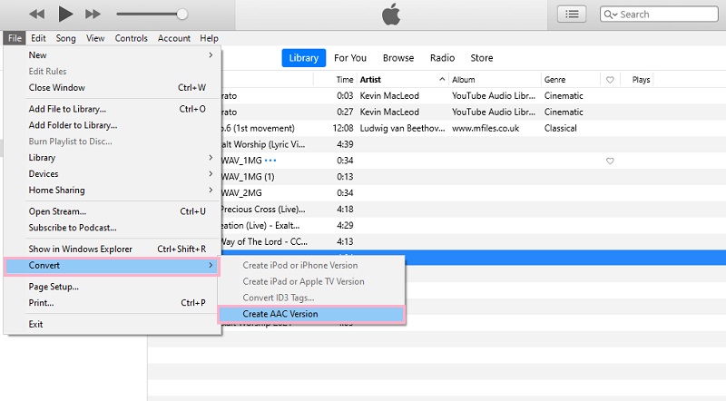 iTunes convierte a AAC