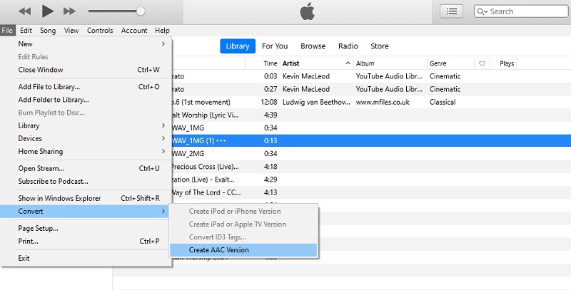 iTunes Konvertera WMA till M4A-fil