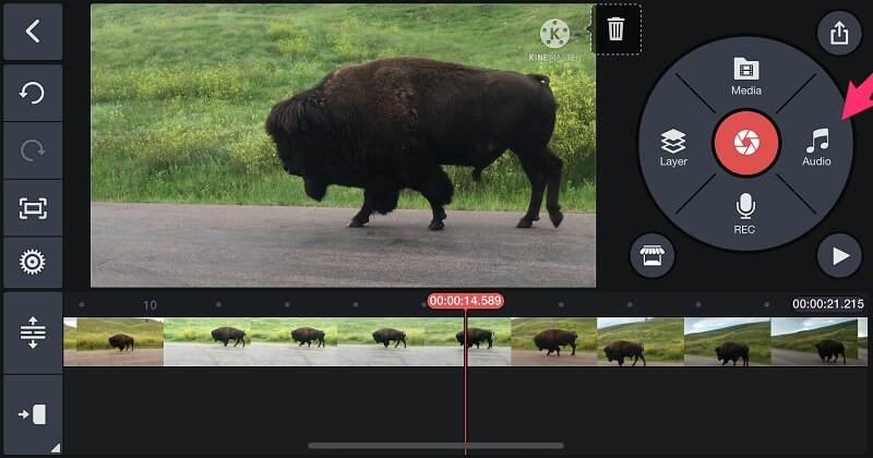 Kinemaster Interface