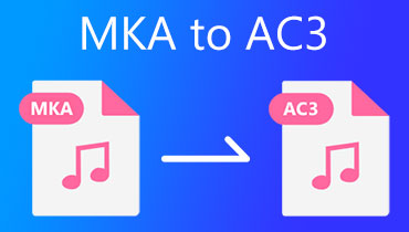 MKA 转 AC3